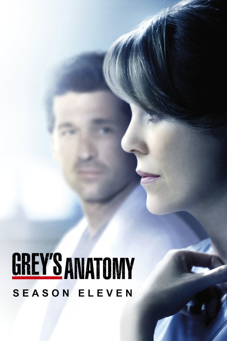 Grey’s Anatomy: Season 11