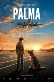 A Dog Named Palma