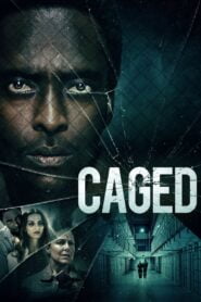 Caged