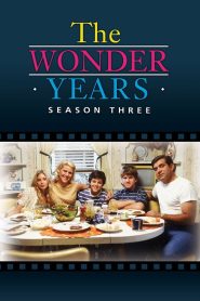 The Wonder Years: Season 3