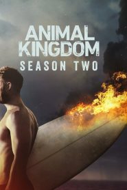 Animal Kingdom: Season 2