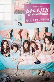 Hello, My Twenties!: Season 1