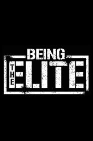 Being The Elite: Season 2