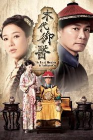 The Last Healer in Forbidden City: Season 1