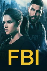 FBI: Season 4