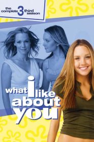 What I Like About You: Season 3