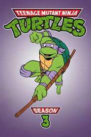 Teenage Mutant Ninja Turtles: Season 3