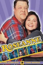 Roseanne: Season 3