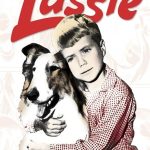 Lassie: Season 11