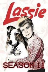 Lassie: Season 11