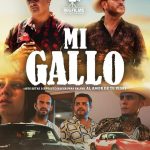 Mi Gallo